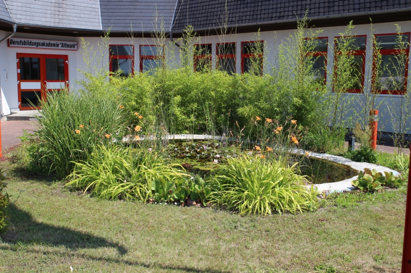 1 Berufsbildungsakademie "Altmark" GmbHBerufsbildungsakademie